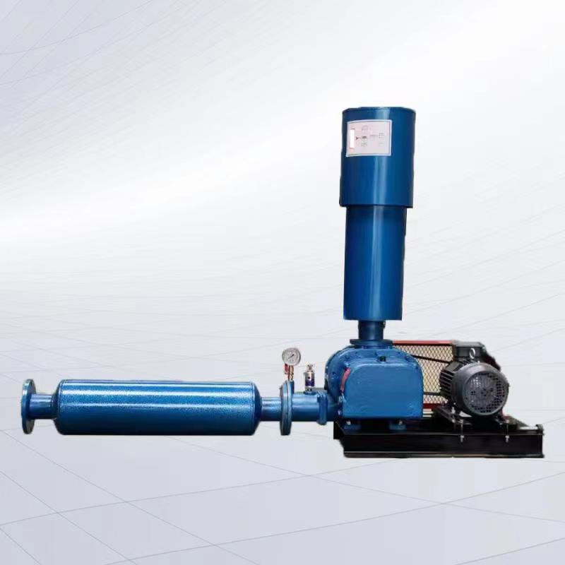 羅茨鼓風(fēng)機(jī) 羅茨鼓風(fēng)機(jī)